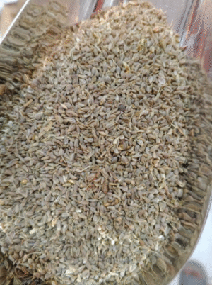 يانسون سوري 10كم