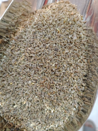 يانسون سوري 10كم