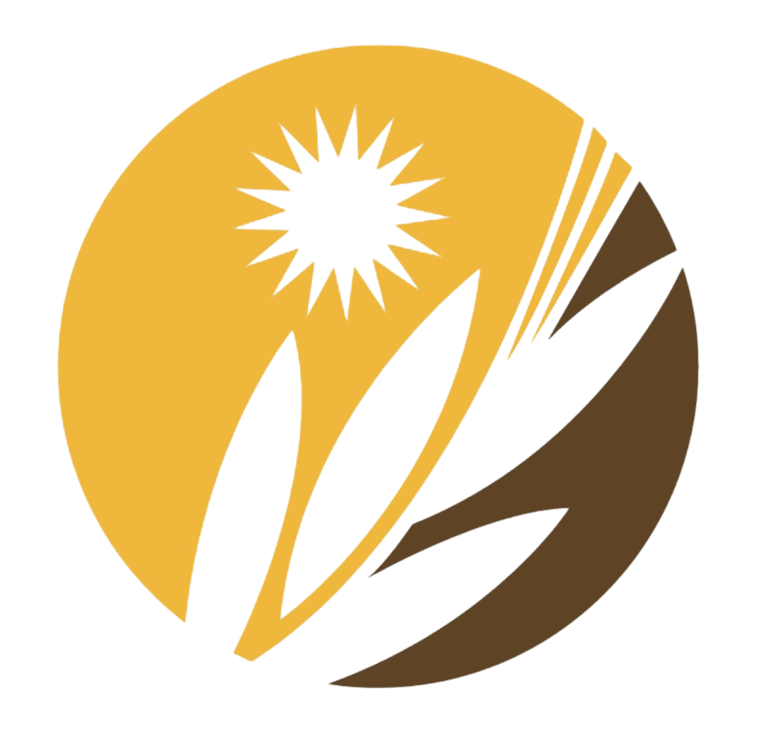 مؤسسة جملة حبوب بركات الحصيل