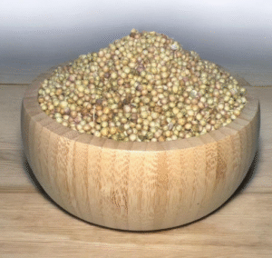 كزبرة سوري1 كزبرة سوري