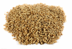 معيه القصيم