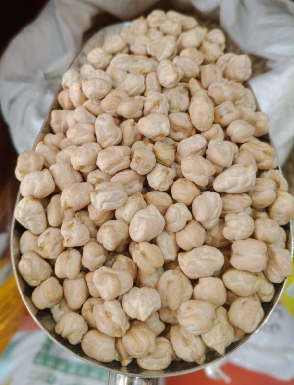 حمص حب رقم 12