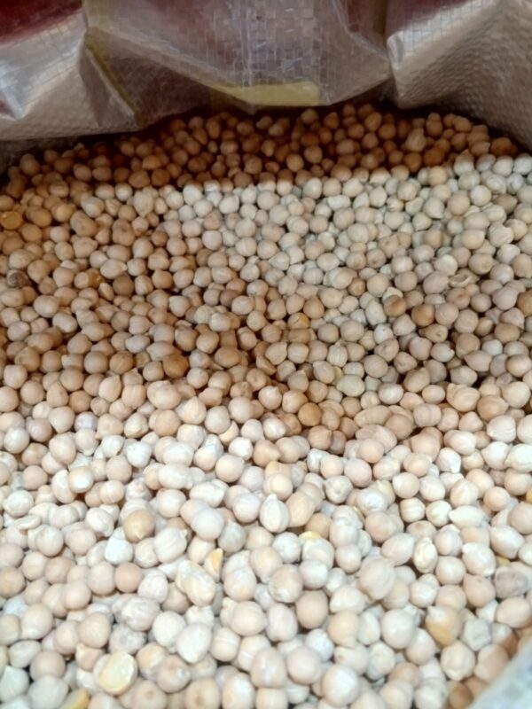 حمص حب رقم 7