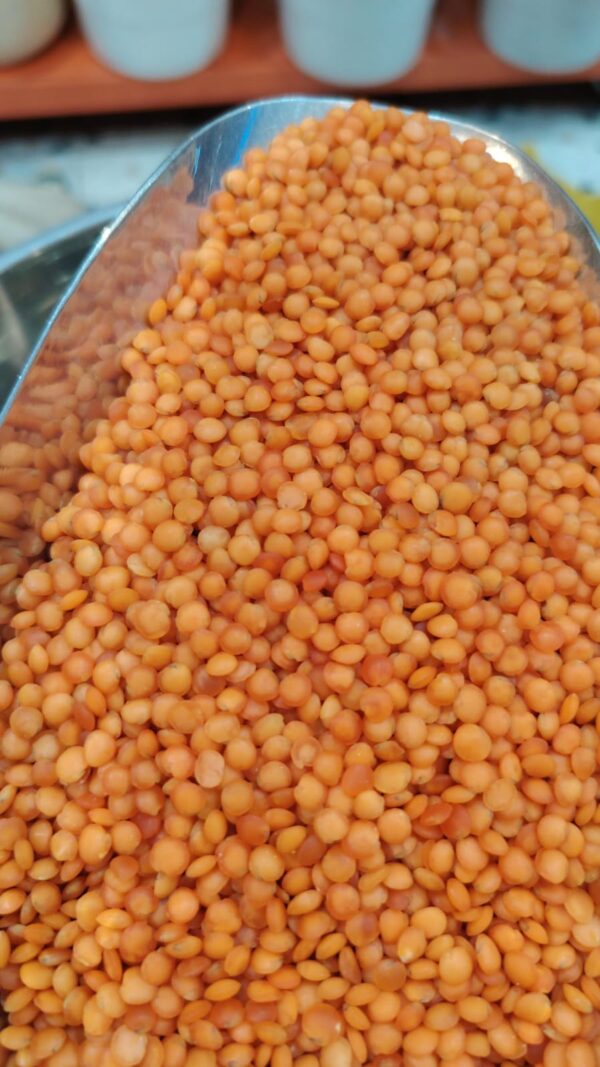 عدس احمر اماراتي