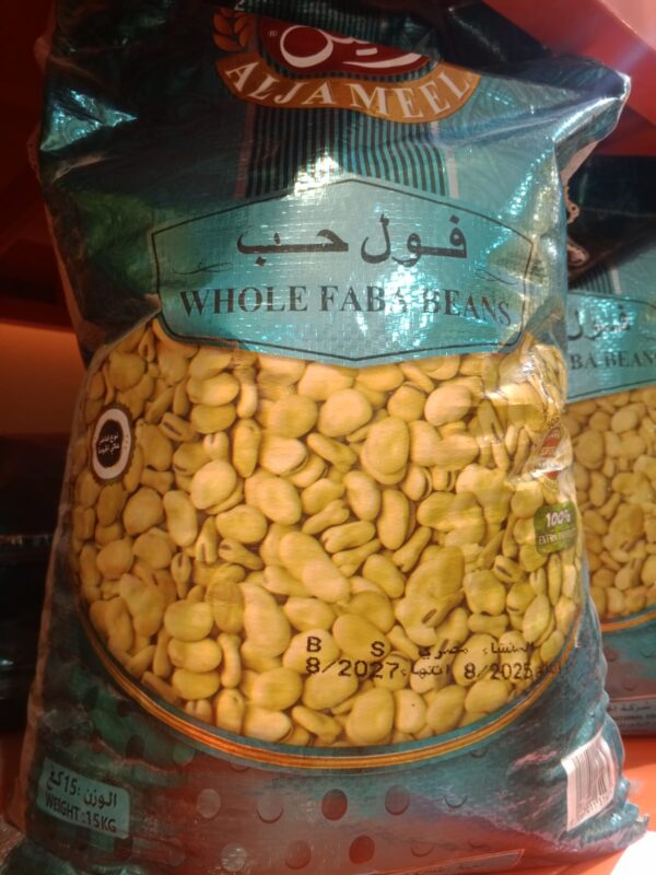 فول حب مصري