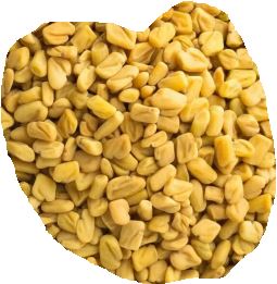 حلبة 15كجم